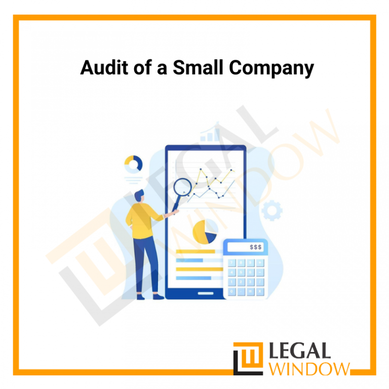 Audit of a Small Company