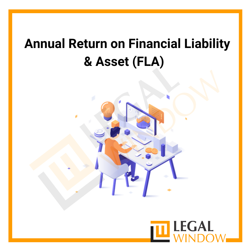 Financial Liability & Asset Annual Return