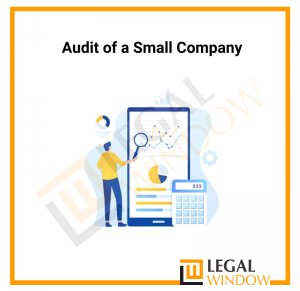 Audit of a Small Company