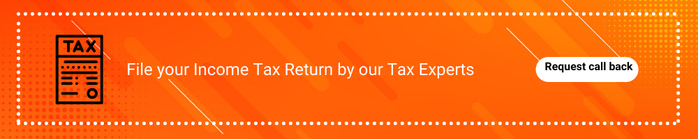 File your Income Tax Return by our Tax Experts