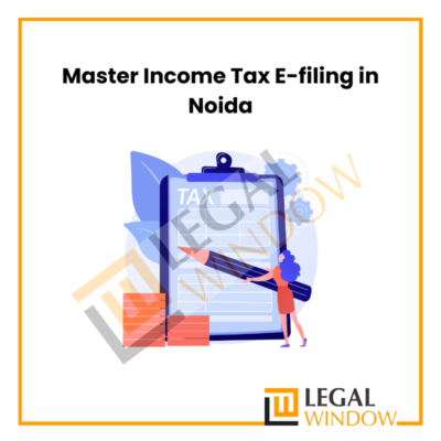 Income Tax E-filing in Noida