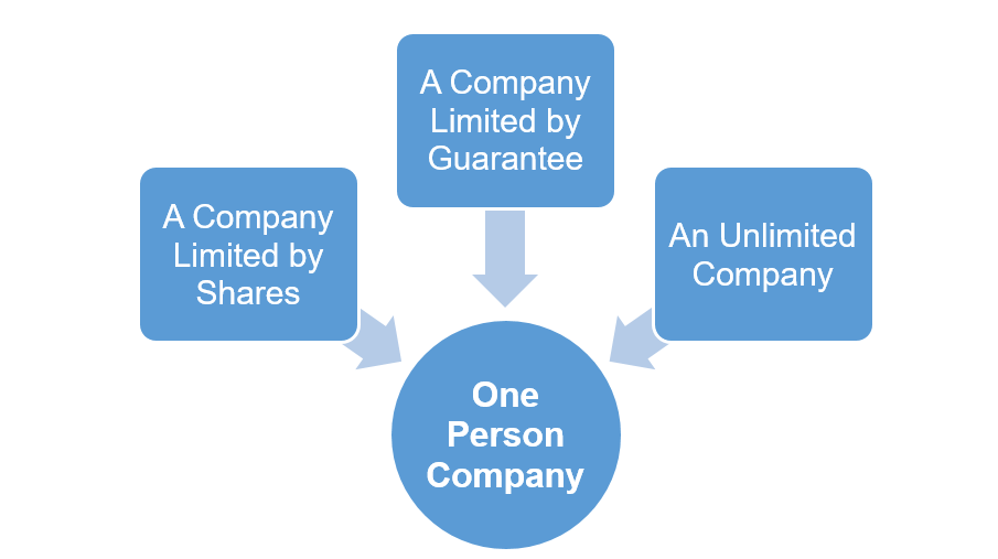 Types of One Person Company