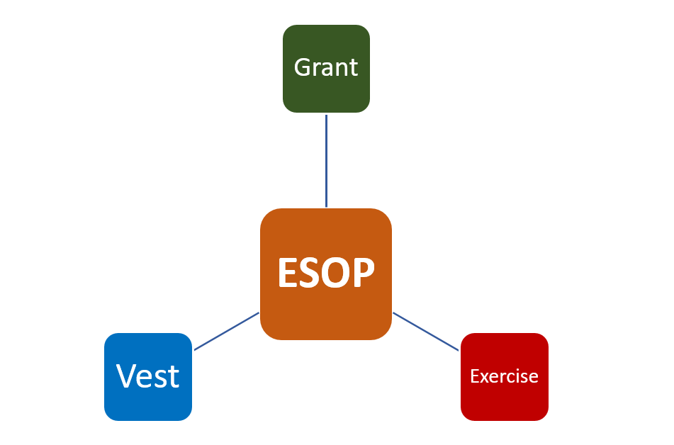Procedure for issue of ESOP