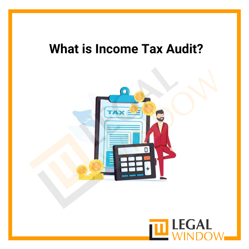 What is Income Tax Audit